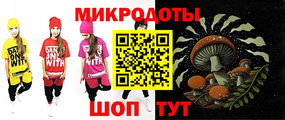 Псилоцибиновые грибы Psilocybine cubensis Подольск