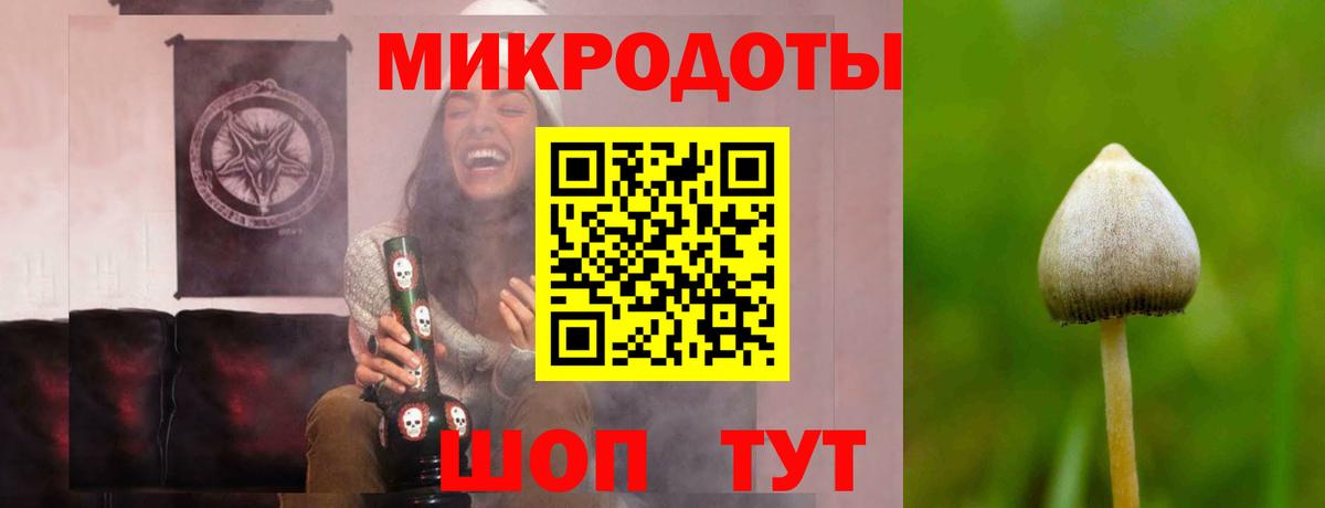 Галлюциногенные грибы мицелий  Вход с VPN  Подольск 